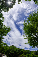 Beautiful blue sky and curious clouds.