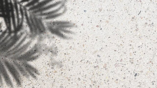 palm shadow tropical leaves summer sunlight sunshine drop shadow on terrazzo floor stone concrete 