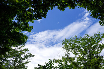 Beautiful blue sky and curious clouds.