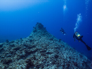 scuba diver and coral reef. Ie Island, Okinawa, Japan 