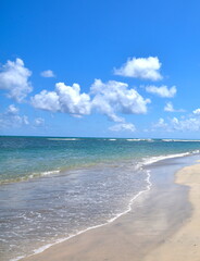 Fototapeta na wymiar Tropical Punta Cana Beach with blue sky and clouds