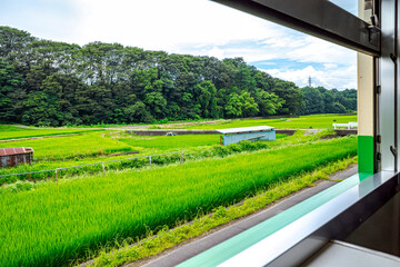 【ふるさとイメージ】日本の里山風景