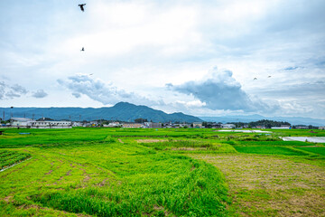 【ふるさとイメージ】日本の里山風景