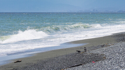 海, 海岸, 波, 浜, 砂, 水, 白波, 空, 青