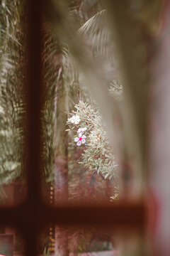 rain in the window