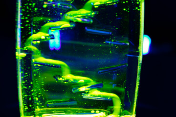 Still life under black light and laser light