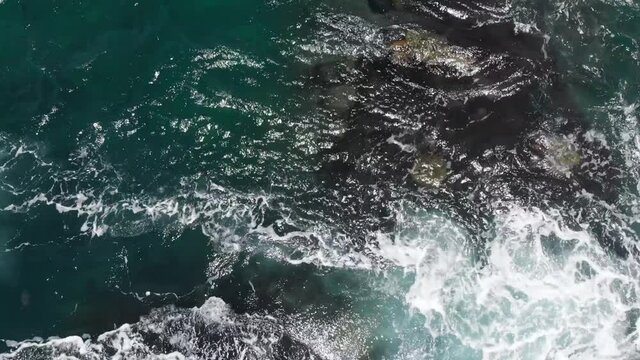Aerial footage of four sea turtles ride on the foaming ocean waves, the rocky bottom is visible (Kauai, Hawaii, USA)