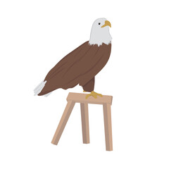 Bald Eagle Illustration