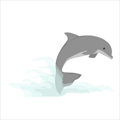 Dolphin Illustration
