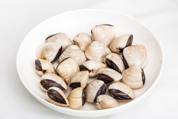 White shellfish