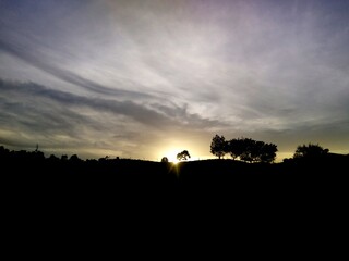 silhouette of a man in a field
