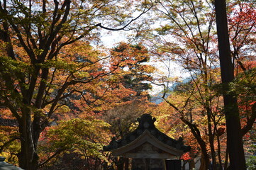 紅葉の京都