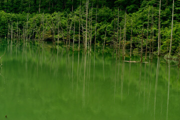 自然湖