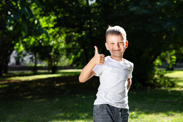 Happy boy child is smiling and approves keeps holds thumb up. Portrait of young boy in nature, park, outdoor. Summer recreation with family