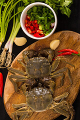 Ingredients hot pot side dishes pose