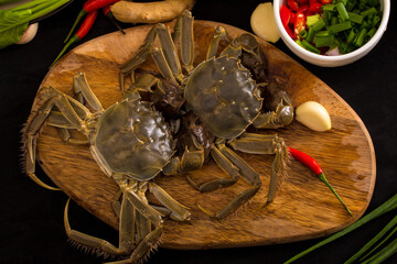 Ingredients hot pot side dishes pose