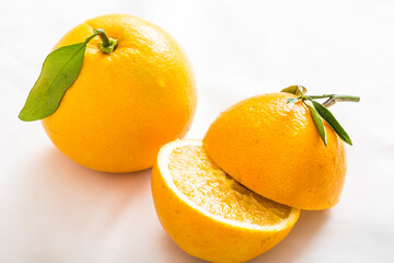 Freshly cut delicious navel orange