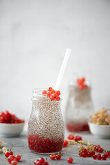 chia seeds with mineral water and berries