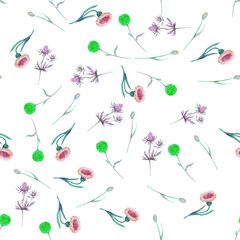 Seamless pattern with flowers and Thistle leaves on a white background. Flower pattern for Wallpaper or fabric. Watercolor illustration. Element for packaging design, invitations, postcards, etc