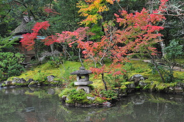 Breathtaking view on japanese garden in autumn. Beautiful maple trees around the pool with big stones.