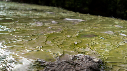 Close up of cracked mud at Rotorua, New Zealand