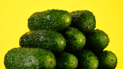 fresh green cucumber on yellow background