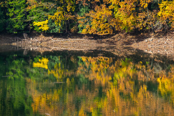 湖に映り込んだ黄色い紅葉