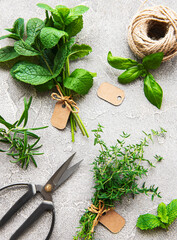 Fresh herbs on grey concrete background
