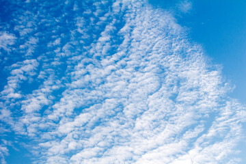 Fototapeta na wymiar Alto cumulus in a clear sky