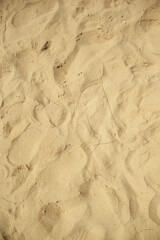 texture of sand in the sand