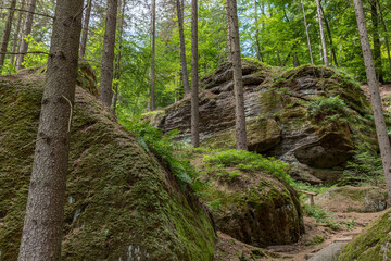 Säsische Schweiz, Elbsandsteingebirge