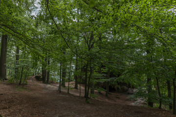Säsische Schweiz, Elbsandsteingebirge