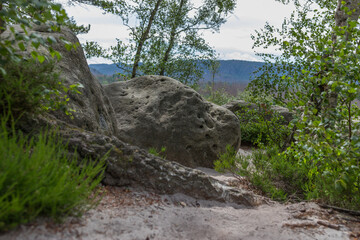 Säsische Schweiz, Elbsandsteingebirge