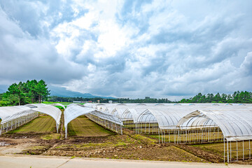 【ふるさとイメージ】日本の里山風景