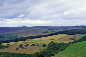 Fototapeta na wymiar Harwood Dale landscape, in the North Yorkshire Moors National Park, England.