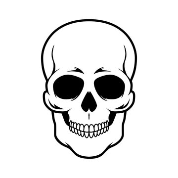 Illustration of skull. Design element for logo, emblem, sign, poster, card, banner.