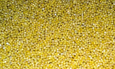 Yellow millet groats close up