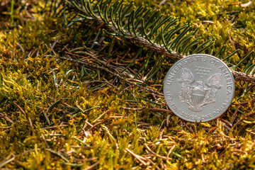 1 Unze Silbermünze (1 Oz American Silver Eagle) im Wald auf Moos