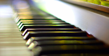 the piano keys