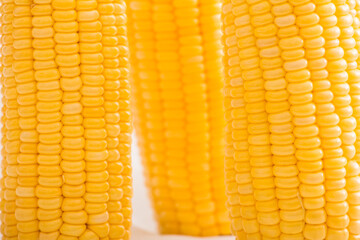 Fresh corn in golden color