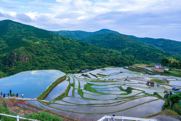 長崎県長崎市神浦　大中尾棚田に空が映る風景