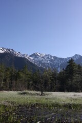 Fototapeta na wymiar Japan North Alps in spring