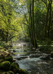 Naklejka premium Ruisseau de Fontaine-Noire à Serrières-sur-Ain, France
