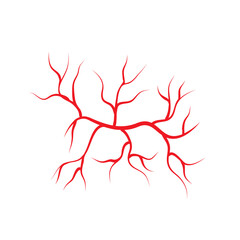 Human veins and arteries illustration design template