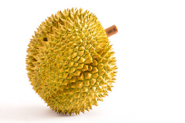 Tropical fruit durian