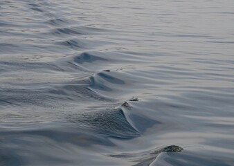 Closeup on a row of small waves on a lake for a textured background