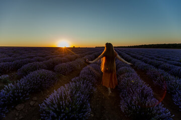 Back view of pretty romantic girl with long hair and in orange dress staying among the blooming blossoming landscape of violet purple lavender flowers on field at summer sunset. Travel concept.