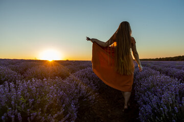 Back view of sensual romantic girl with long hair in orange dress having vacations among the blooming blossoming landscape of violet purple lavender flowers on field at summer sunset. Travel concept.