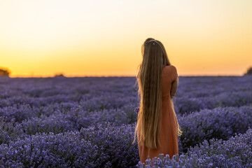 Back view of pretty girl with long hair and in orange dress stays among the blooming luscious landscape of violet lavender flowers on field at sunset and holds a bouquet. Summer travel concept.