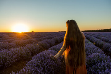 Back view of pretty girl with long hair and in orange dress stays among the blooming luscious landscape of violet lavender flowers on field at sunset and holds a bouquet. Summer travel concept.